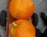september